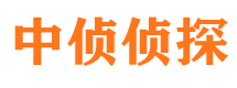 远安侦探公司